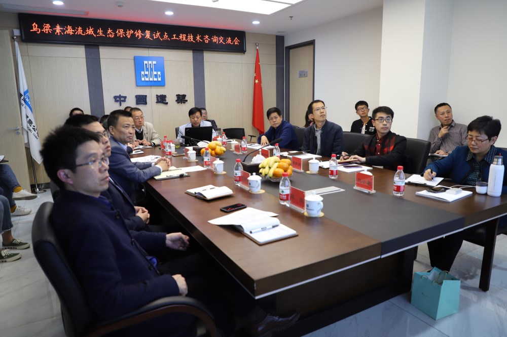 公司召開烏梁素海流域生態保護修復試點工程技術咨詢交流會